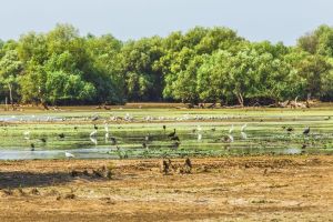 ''Avem un potenţial uriaş turistic în Delta Dunării şi el trebuie exploatat''