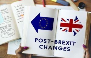 Brexitul a fost exclus de pe agenda unei întâlniri de săptămâna viitoare a ambasadorilor statelor UE