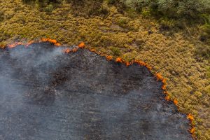 Amazonul se confruntă cu cele mai multe incendii din ultimii 10 ani