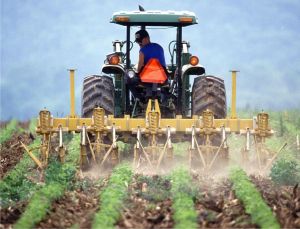 Agricultura va suferi în continuare din cauza secetei pedologice