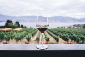 Viticultorii din Ungaria estimează la 2,2-2,5 milioane hectolitri producţia de vin din acest sezon