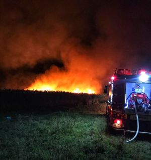 Incendiu la Huşi: o suprafaţă de 30 de hectare de vegetaţie uscată a fost mistuită