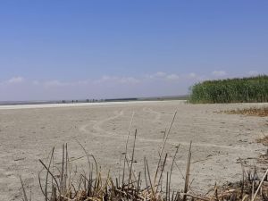 Lacul Nuntaşi, renumit pentru conţinutul de săruri terapeutice, are din nou apă