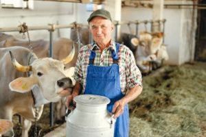 Agricultura convenţională, înlocuită de fermele ecologice