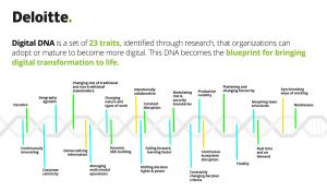 Deloitte România lansează Digital DNA, o soluţie de evaluare a gradului de maturitate digitală a companiilor