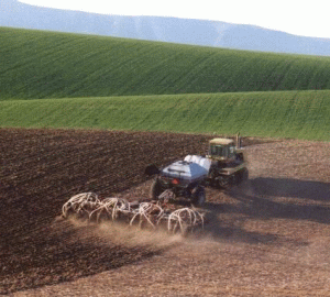 Agricultorii români, nemulţumiţi că domeniul în care acţionează este trecut cu vederea.