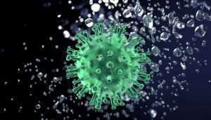 O nouă tulpină de coronavirus, descoperită în Nigeria