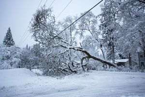 Trafic perturbat pe DN 67 din cauza unor stâlpi şi a unui copac căzuţi pe carosabil