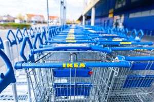 Ikea cumpără 4.400 de hectare de pădure în Georgia, pentru a o proteja de dezvoltatori