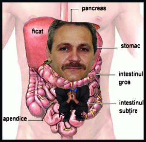 Liviu Dragnea, la Interne