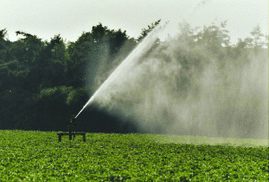 Producţia agricolă, din nou vulnerabilă la secetă şi fenomene meteorologice