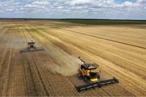 Holde Agri Invest achiziţionează o nouă fermă în judeţul Călăraşi