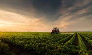 2021, an de revenire pentru agricultura românească