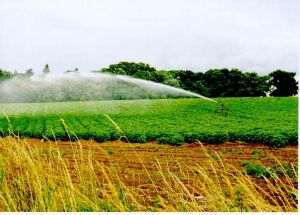 Agricultura - un domeniu omis la summitul pe climă