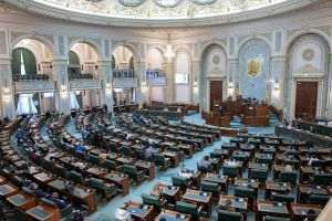 Şedinţă comună a comisiilor din Senat pentru a întocmi raportul asupra proiectului privind comunicaţiile electronice