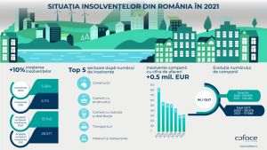 Numărul procedurilor noi de insolvenţă a crescut cu 10%