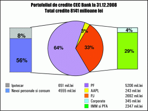 Profituri excepţionale pentru "CEC Bank", în 2008