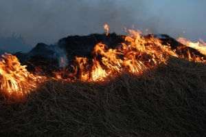 Aproximativ 1.000 de persoane au fost evacuate din cauza incendiilor de vegetaţie din Spania