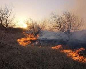 Noi incendii de vegetaţie în sudul Franţei