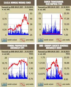 Tranzacţii de numai 22,6 milioane lei, cu mult sub media zilnică a anului
