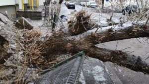 38 de maşini avariate în Bucureşti şi Ilfov, din cauza fenomenelor meteo