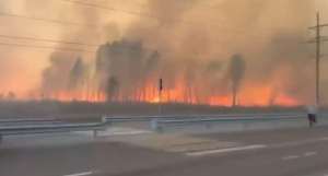 Rusia se confruntă cu incendii de pădure majore din cauza unui val de căldură