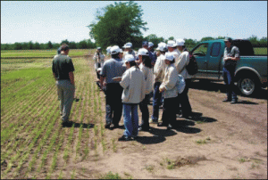 Italienii acaparează încet şi sigur piaţa terenurilor agricole din sud şi est