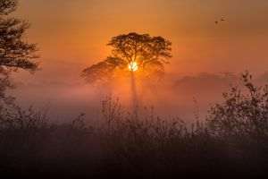 Fire season has begun in the Southern Hemisphere