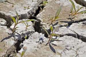 "Water is gold", say the people hit hard by the drought