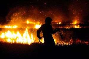 13 milioane euro - despăgubiri plătite anul trecut ca urmare a incendiilor