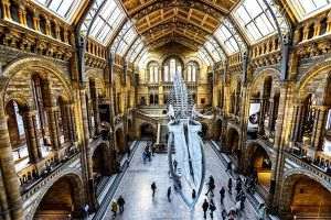 BBC: FBI investighează dispariţia unor comori antice de la British Museum