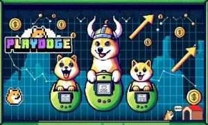 Ce este PlayDoge?