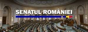 Senat: Legea cetăţeniei - modificată; după 10 ani de căsătorie în străinătate, soţul/soţia poate deveni cetăţean român