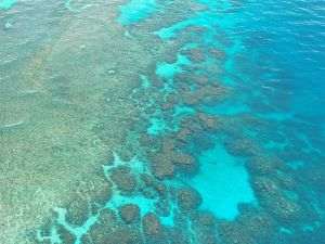 UNESCO calls for urgent measures to protect the Great Barrier Reef