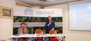 APIA: The Romanian market of full-electric cars is decreasing, due to the reduction of allocations for the Rabla Plus program