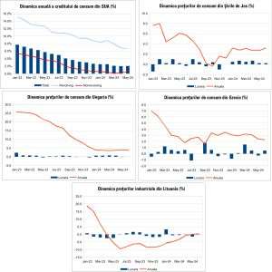 Macro Newsletter 11 Iulie 2024