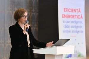 Dana Dărăban, executive director of ACUE, said: "On a basic scenario, at least a tripling of the investment level, from the own funds that the distribution operators must provide, i.e. from 2.3 billion euros to 6 billion euros on the following regulatory conditions, we are talking about a level of the tariff (ed. - distribution, in the consumer's bill) that will gradually increase until the year 2030". (Photo source: facebook / ACUE)