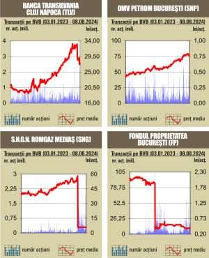 Tranzacţii de 50 milioane lei, cu mult sub media zilnică a anului 