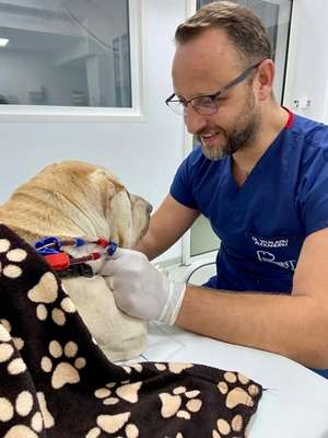 PartnerVet marchează un moment important în cadrul reţelei: clinica veterinară Patrupet, afiliată grupului, atinge 2,500 cazuri de succes în tratamentul animalelor de companie