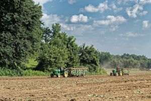 The budget allocated to the new program to renew the national tractor fleet is 500 million lei. According to the state aid scheme, the support intensity is between 65% and 80%. Young farmers - ie farmers aged up to 40 years - will benefit from a maximum settlement of 80% of the value of the tractor, while the rest of the farmers will get 65% financing.