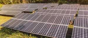 Autorităţile judeţene au pregătit un proiect pentru construirea unui parc fotovoltaic care să asigure necesarul de energie pentru Spitalul Orăşenesc Târgu Bujor. Cu alte cuvinte, Consiliul Judeţean îşi propune ca unitatea medicală să devină independenţă energetic.