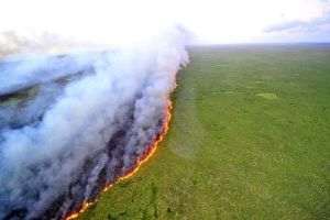 Reuters: Incendiile de vegetaţie scapă de sub control în Peru