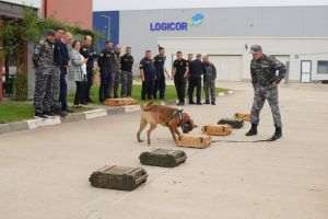 Echipele canine ale Serviciului Vamal de Stat al Ucrainei, la perfecţionare profesională în România