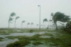 Hurricane effects: $50 billion in damage