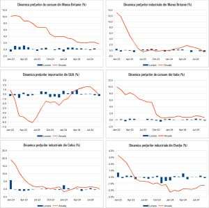 Macro Newsletter 18 Octombrie 2024