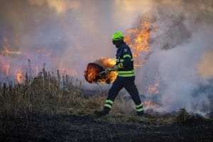 Schimbările climatice, probleme în lanţ