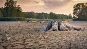 report-romania-will-face-heat-waves-extreme-storms-intense-drought-67887358