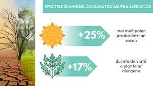 Schimbările climatice cresc incidenţa alergiilor