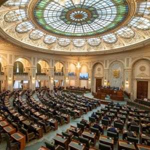 Senatorii au votat componenţa comisiilor de specialitate pentru noul Senat 