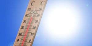  Valencia înregistrează un record de temperatură de 26,9°C în ianuarie